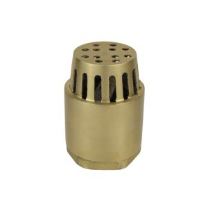 Pichancha de bronce 2?